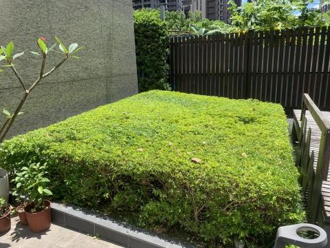 杉美園藝綠化有限公司 - 