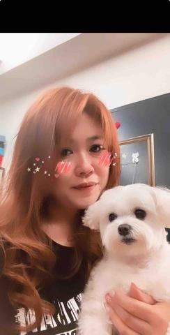 提供保母服務的專家寶貝屋