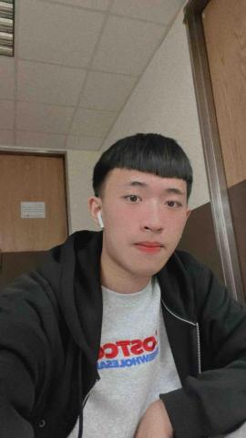 提供樹林服務的專家李老師