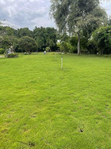 綠的植草農場 - 