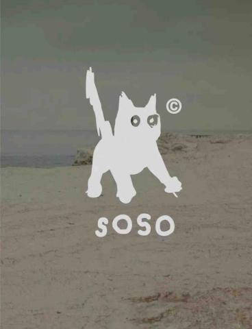 提供資源回收標誌服務的專家Ry