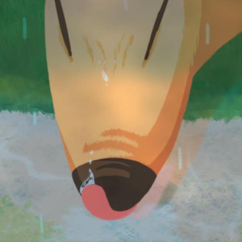 提供動畫師服務的專家LKE