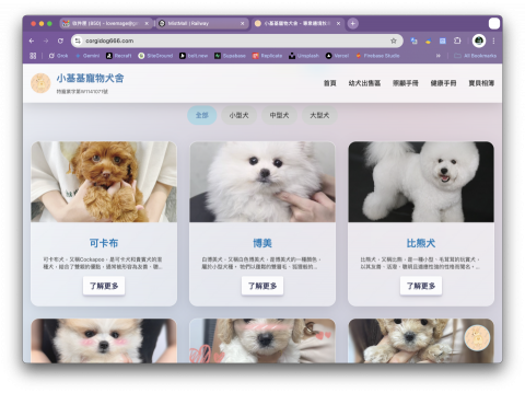 海水工作室 - 寵物網站，報價24xxx