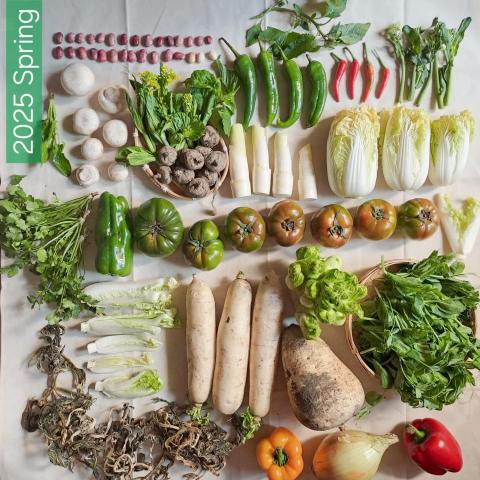 李林珊Sandy - 時令新鮮蔬菜 李林珊Sandy - 時令新鮮蔬菜