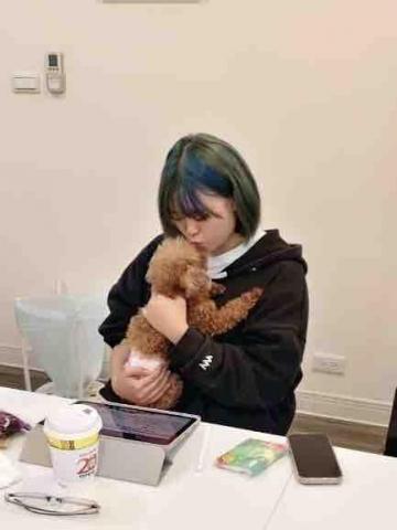 寵物の褓母歪歪
