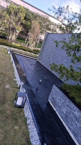 張紘瑋 - 彈性水泥