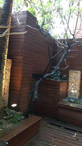 金璽工程 - 豪宅庭院南方松圍籬地板