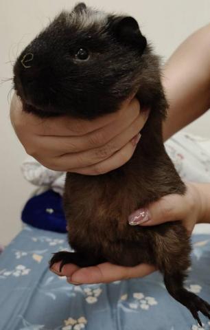 林昱志 - 調皮的美式咖啡