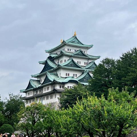 提供120服務的專家賴欣慧