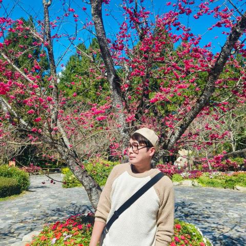 提供有氧舞蹈基本篇服務的專家王小隆