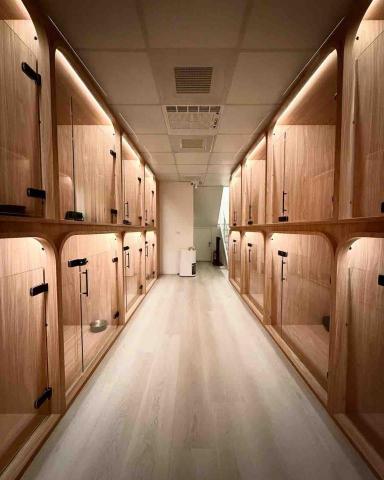 淡水小毛宅狗狗純寄宿旅館 - 超大房型 每間相同大小 120*120*120公分