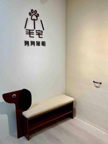 淡水小毛宅狗狗純寄宿旅館 - 視覺牆～幫寶貝拍美美照留下美好回憶！