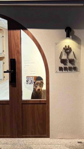 淡水小毛宅狗狗純寄宿旅館 - 