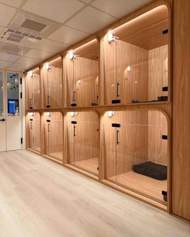 淡水小毛宅狗狗純寄宿旅館 - 房內24小時監視器、配備QQAIR空氣機保持環境清靜無異味