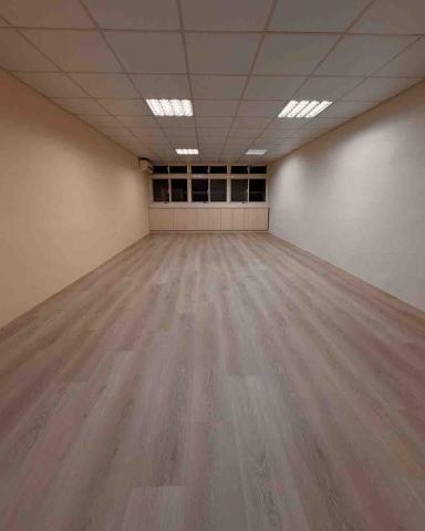 淡水小毛宅狗狗純寄宿旅館 - 20坪放風空間