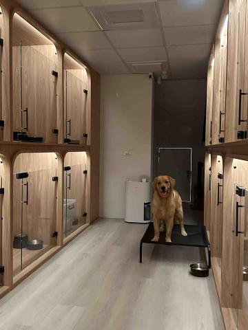 淡水小毛宅狗狗純寄宿旅館 - 