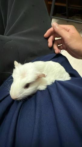 林昱志 - 家裡的天天