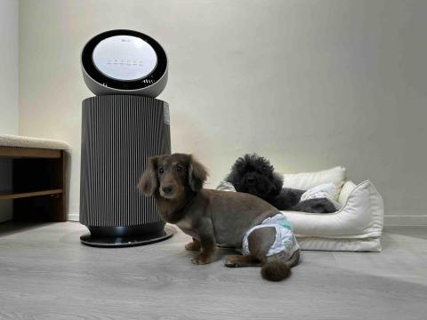 淡水小毛宅狗狗純寄宿旅館 - 