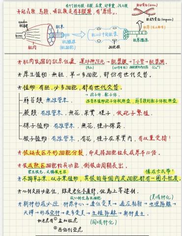 陳怡璇 - 普通生物學筆記