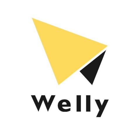 提供seo排名服務的專家Welly SEO