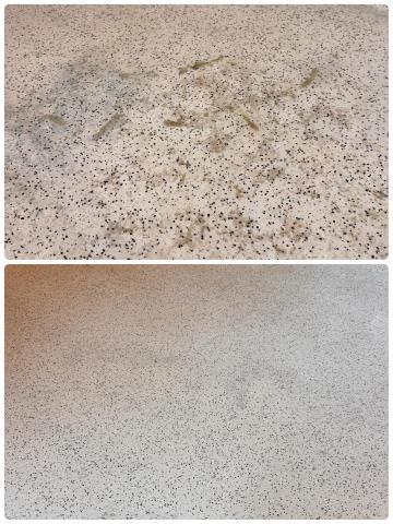 仙后座有限公司/潔淨學 - 塑膠地板髒污清潔打蠟