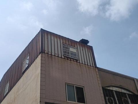 恩陞工程行  統編：95265022 - 114/07/17 梧棲牆壁拆蓋施工前