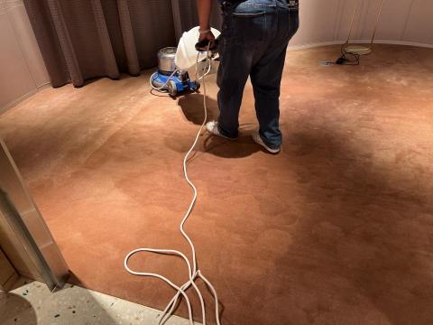 仙后座有限公司/潔淨學 - 塊狀地毯清洗