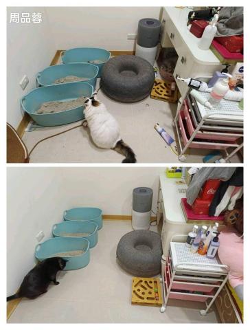 周喵喵個人整潔室 -  周喵喵個人整潔室 -