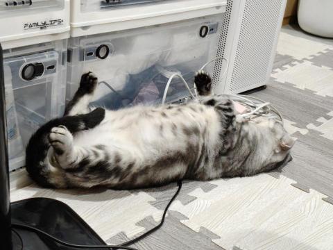 周喵喵個人整潔室 -  周喵喵個人整潔室 -