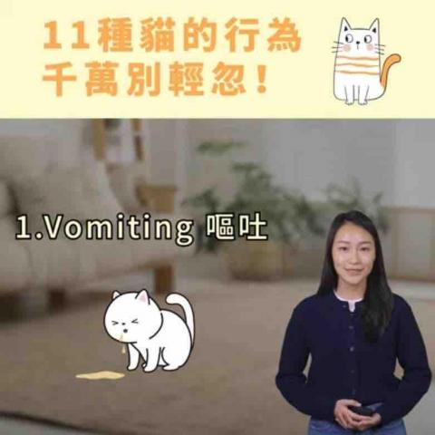 梅根老師 Ms. Megan 一對一英語教學 - 