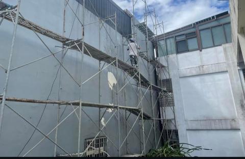 黃球球 -  黃球球 -