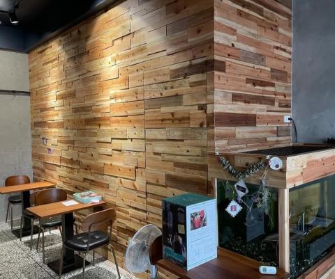 黃球球 - 三星早午餐
 黃球球 - 三星早午餐