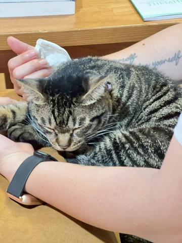 盈楓 - 很安心的窩在我懷裡 盈楓 - 很安心的窩在我懷裡