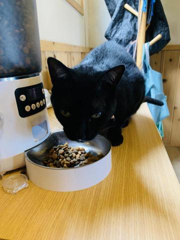 盈楓 - 飯點時間到 盈楓 - 飯點時間到