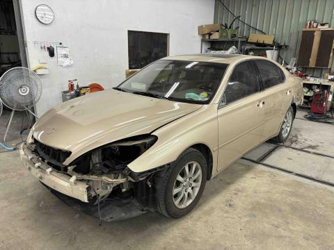 林季蒲 - 全車烤漆