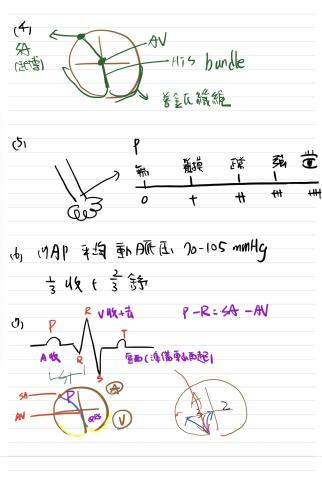 明 - 圖像式筆記 × 生理理解
•透過自製圖文筆記，將**心電圖、傳導系統、生理波形（如 MAP 計算、P-R 間期）**具體圖解，幫助學員掌握抽象概念與記憶邏輯。