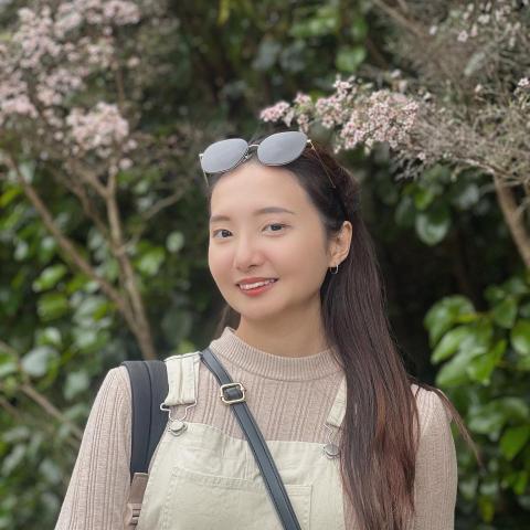 菜羊羊