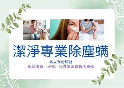 潔凈清潔專業除塵蟎 - 