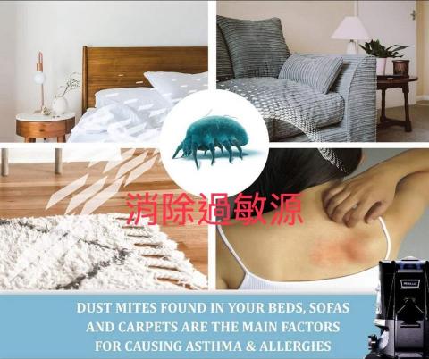 潔凈清潔專業除塵蟎 - 