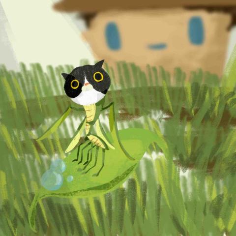 毛毛插畫 毛毛插畫