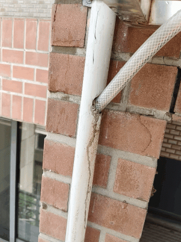 蕭景舟 - 大樓住戶將冷氣排水管直接接入排水幹管，造成堵塞