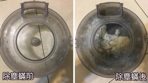 潔凈清潔專業除塵蟎 - 