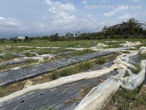 蔡承宏 - 農地清理前
