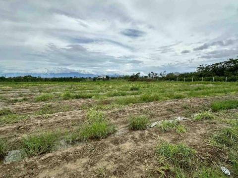 蔡承宏 - 農地清理後