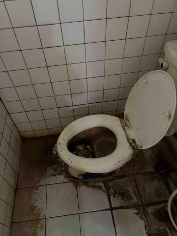 鳳凰居家清潔 - 