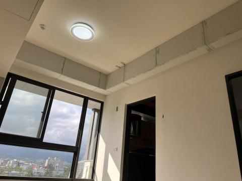 黃球球 - 宜蘭 黃球球 - 宜蘭