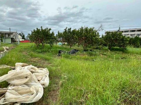 蔡承宏 - 除草前