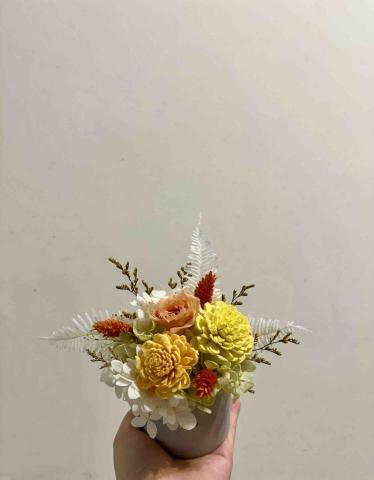 芳珘 FANG JOU - 永生花盆