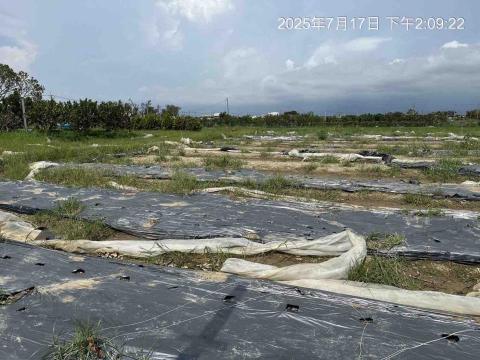 蔡承宏 - 農地清理前