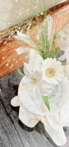 蘇芙勞兒 - 杯花